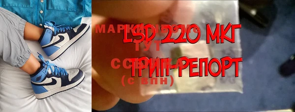 прущие грибы Абдулино