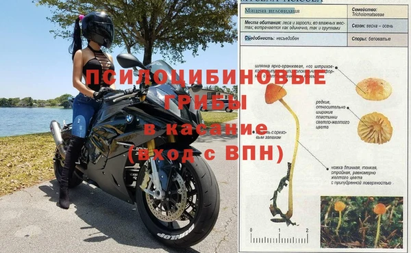 кокаин премиум Алексеевка